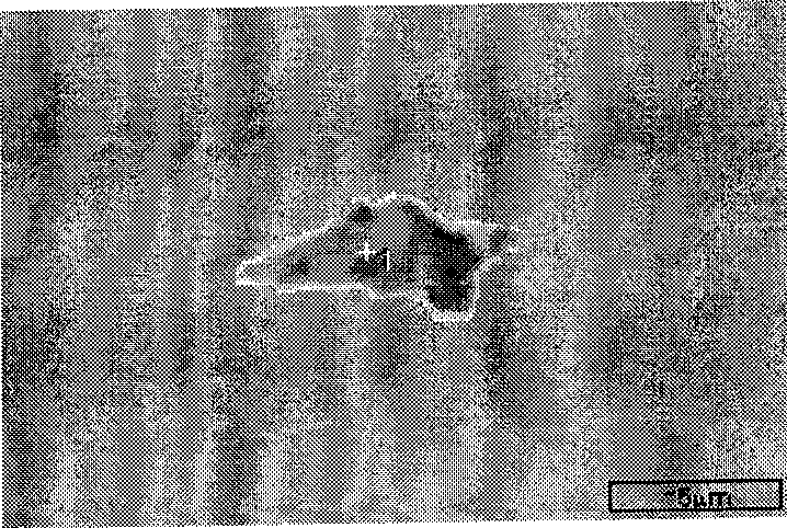 High-carbon steel wire for superfine steel wire and manufacturing method thereof