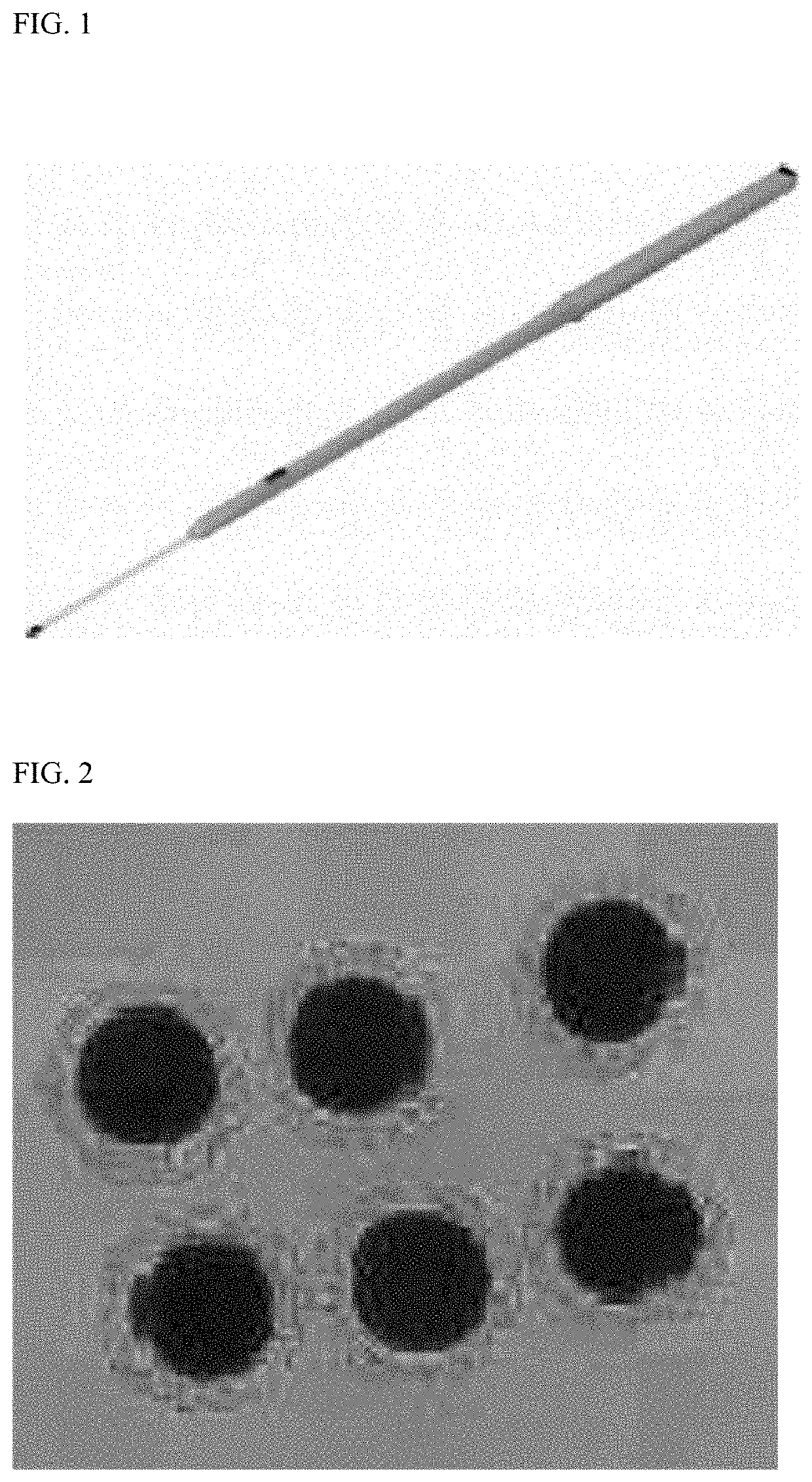 Method for vitrification and thawing of oocyte of canine and frozen-thawed oocyte produced using the same