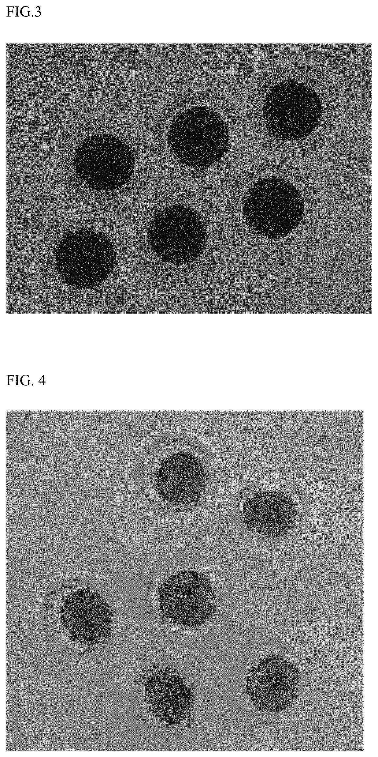 Method for vitrification and thawing of oocyte of canine and frozen-thawed oocyte produced using the same