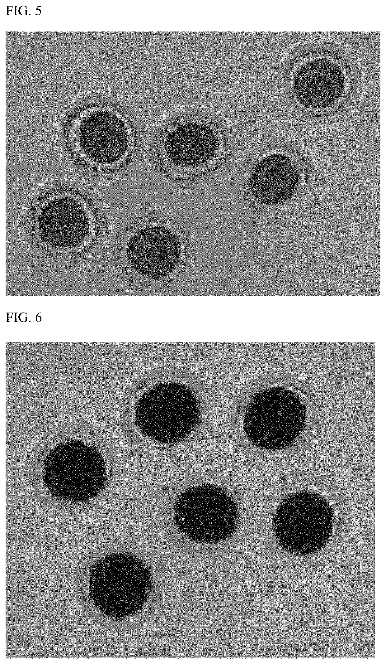 Method for vitrification and thawing of oocyte of canine and frozen-thawed oocyte produced using the same