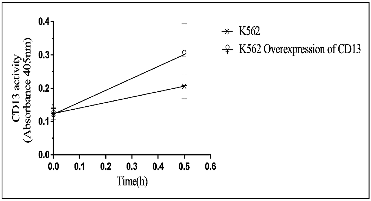 Method for determining enzyme-inhibiting activity of aminopeptidase N inhibitor and application