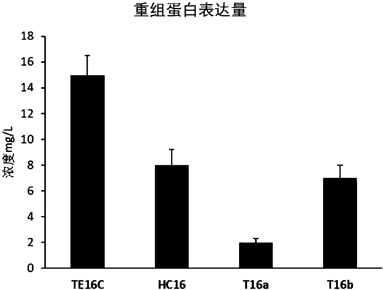 Polypeptide, and production method and application thereof