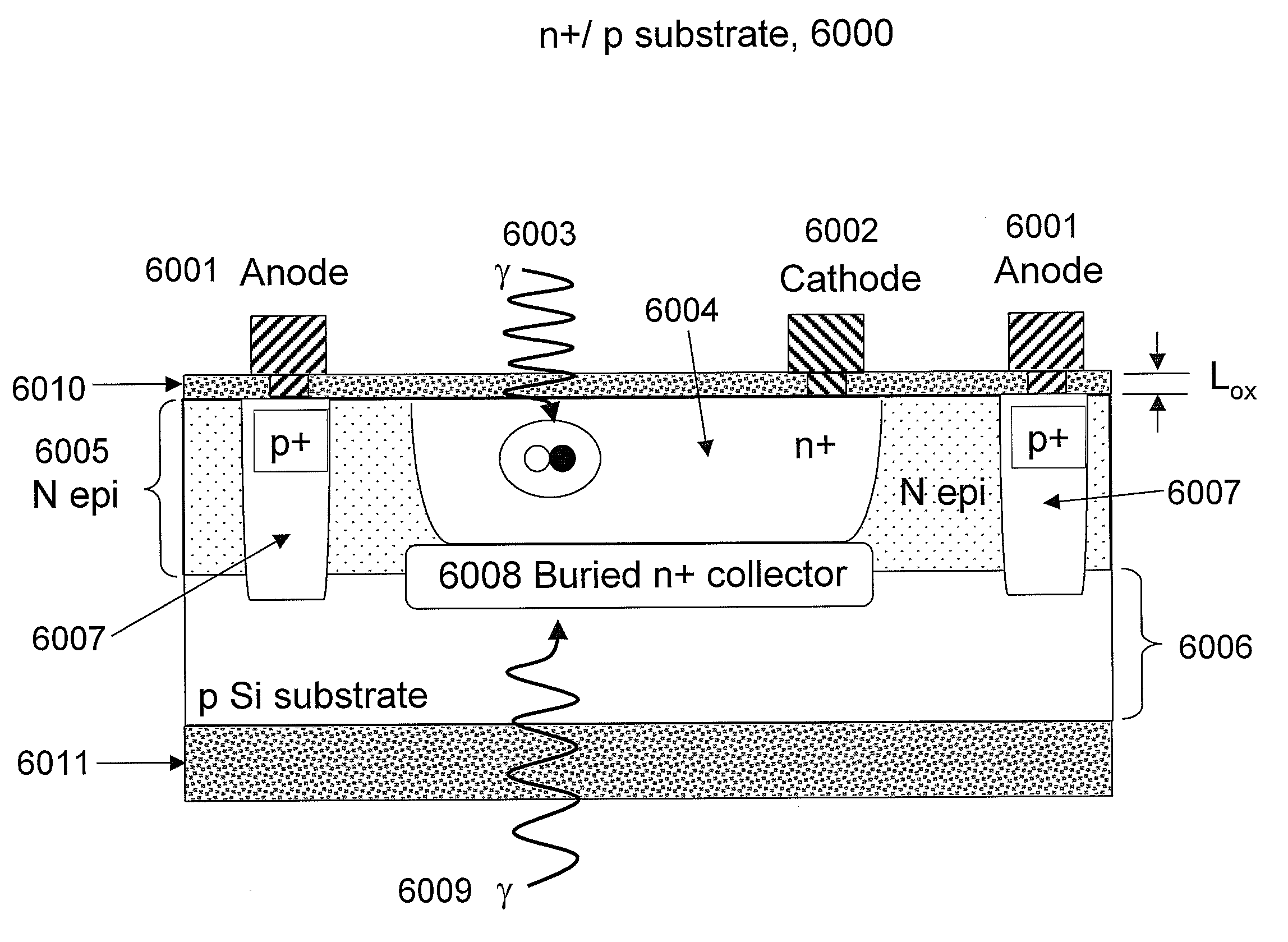 Thin Film Solar Cell III