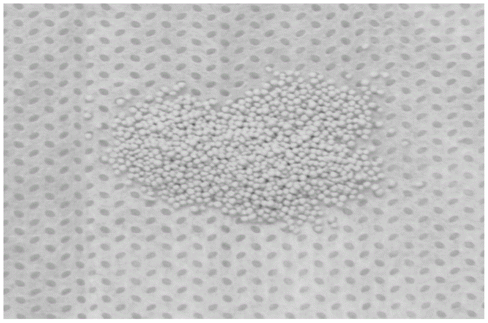 A mesoporous hemostatic particle with antibacterial properties and its preparation method and application