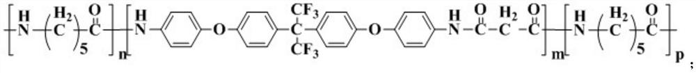 Fluorine-containing water-resistant polyamide 6 and preparation method thereof