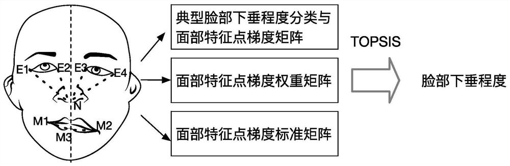 Rapid stroke identification method combining TOPSIS and artificial intelligence