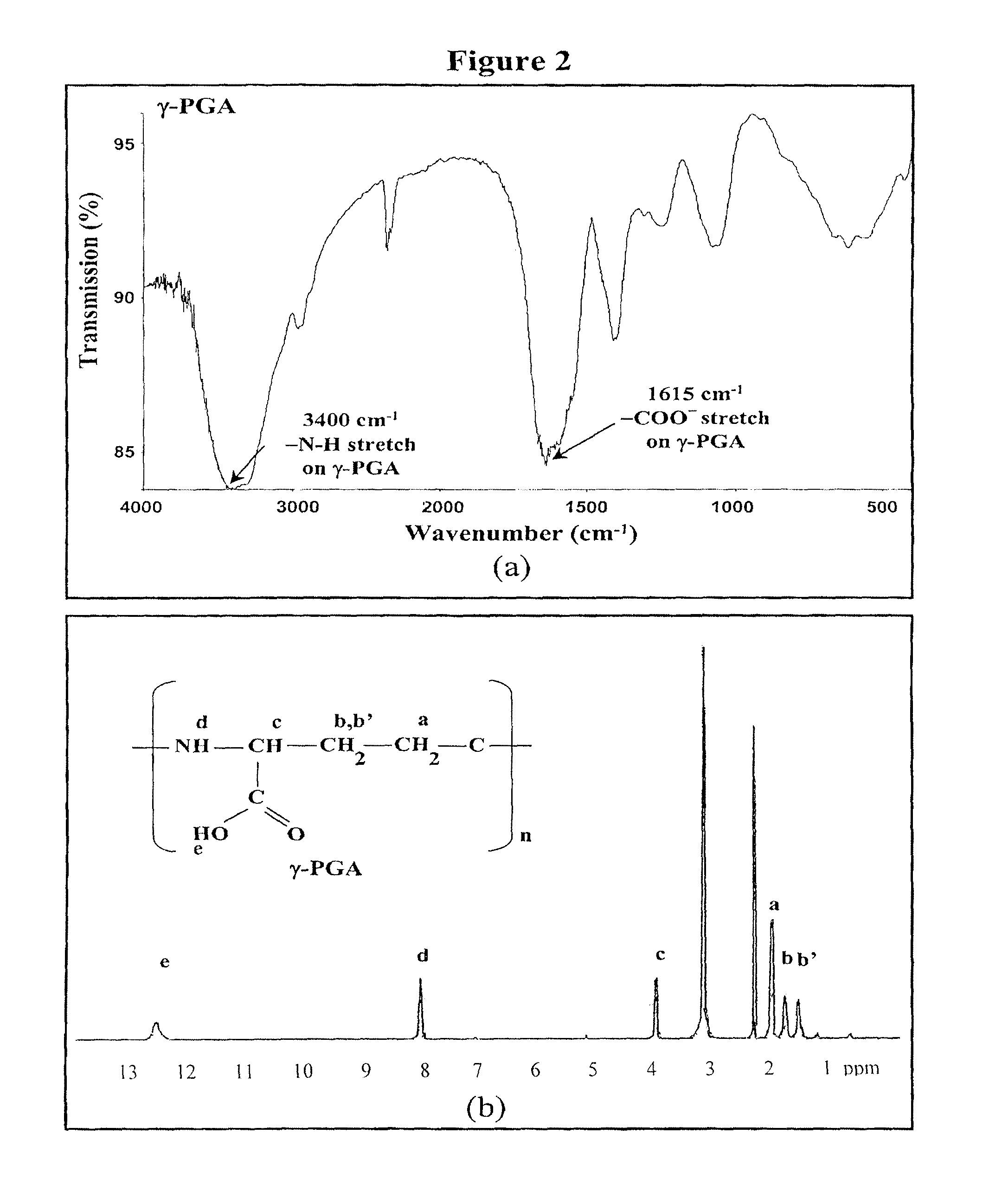 Pharmaceutical composition of nanoparticles