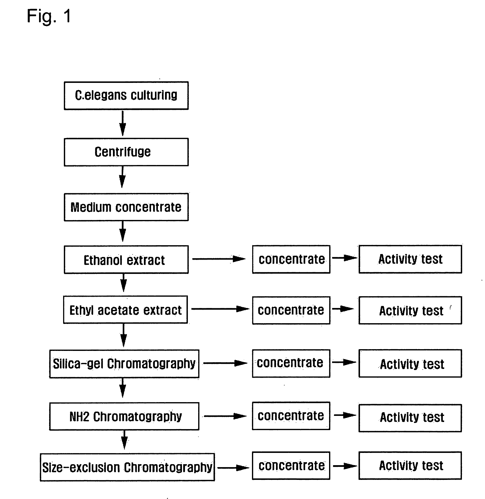 Pharmacologically active novel dauer pheromone compound for controlling aging and stress and method for isolating and characterizing the same