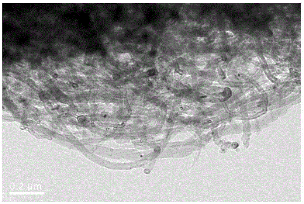 Nanometer carbon material containing heteroatoms and preparation method and application thereof, and dehydrogenation reaction method for hydrocarbons