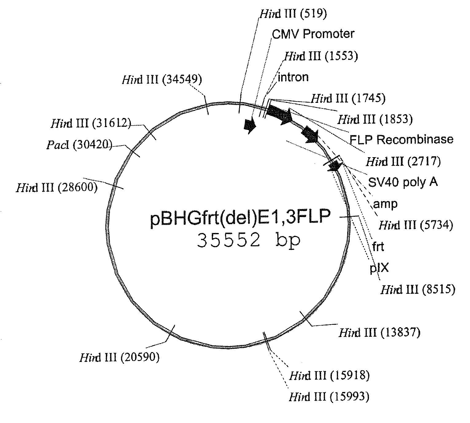 RECOMBINANT ADENOVIRUS COMPRISING RECOMBINANT khp53 GENE AND THE PREPARATION METHOD AND USES THEREOF