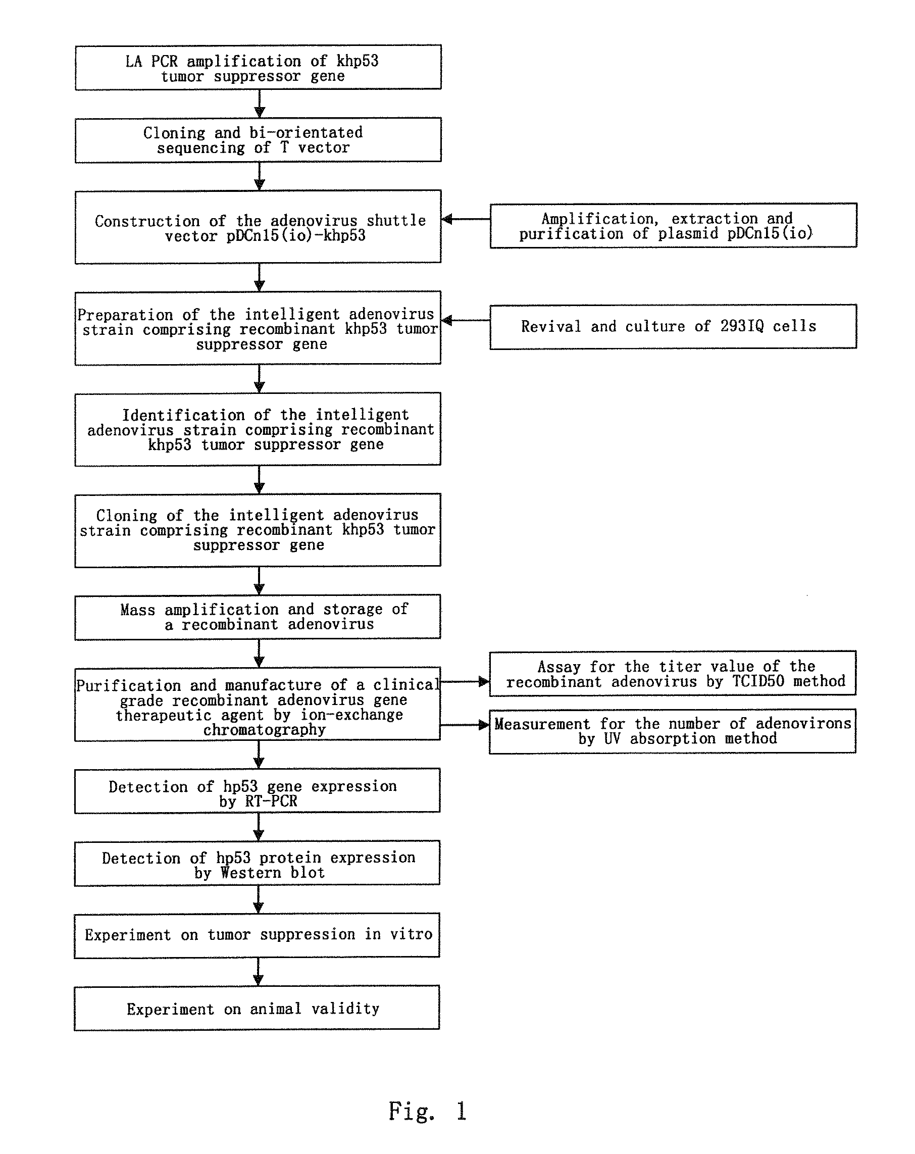 RECOMBINANT ADENOVIRUS COMPRISING RECOMBINANT khp53 GENE AND THE PREPARATION METHOD AND USES THEREOF