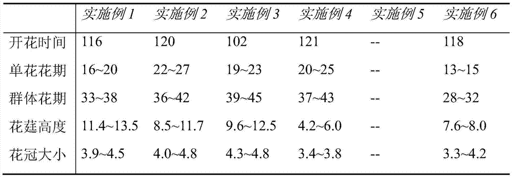 Method for adjusting and controlling flowering phase of Pleione bulbocodioides