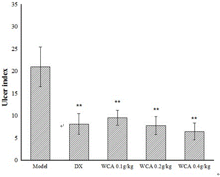 Application of Weichangan to preparation of alcoholic gastric ulcer resistant drugs