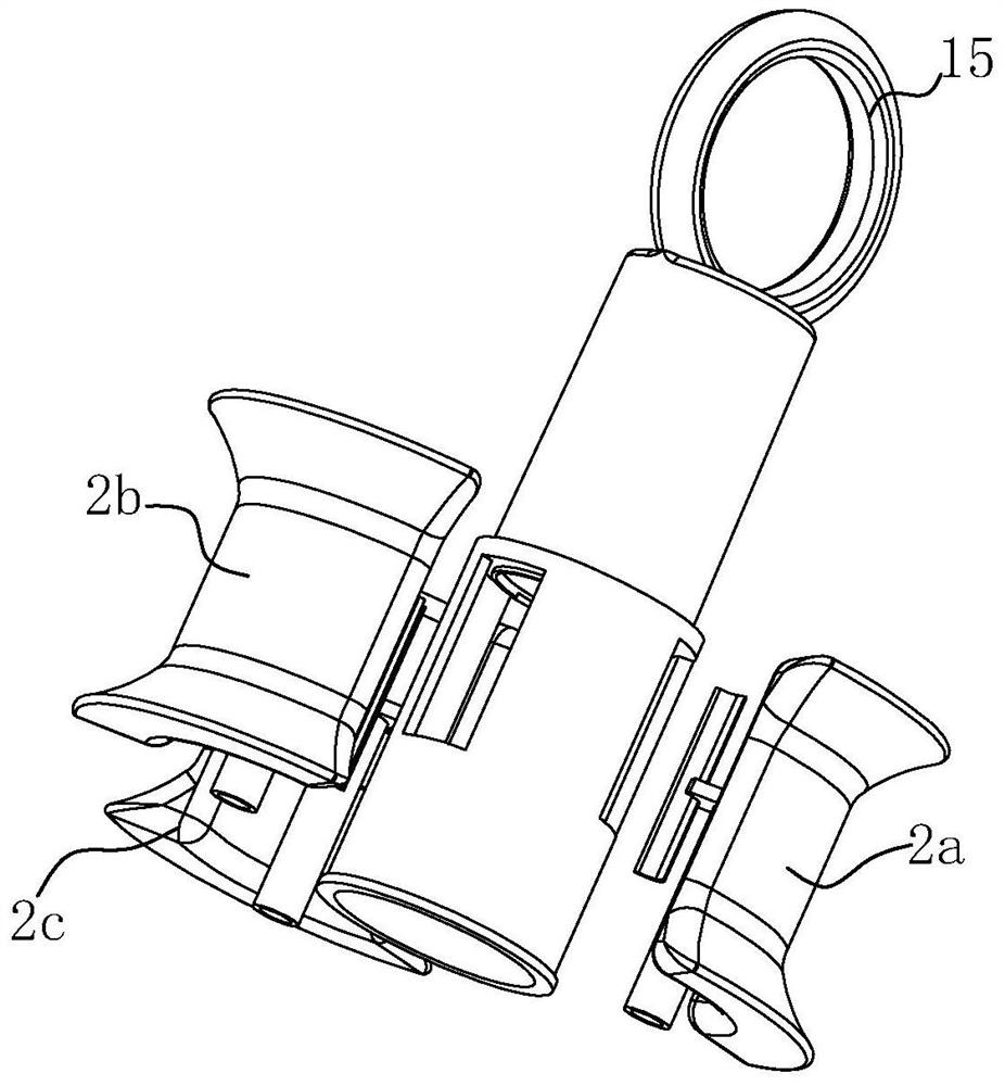 A multi-head hemostatic clip that is convenient for shifting operation