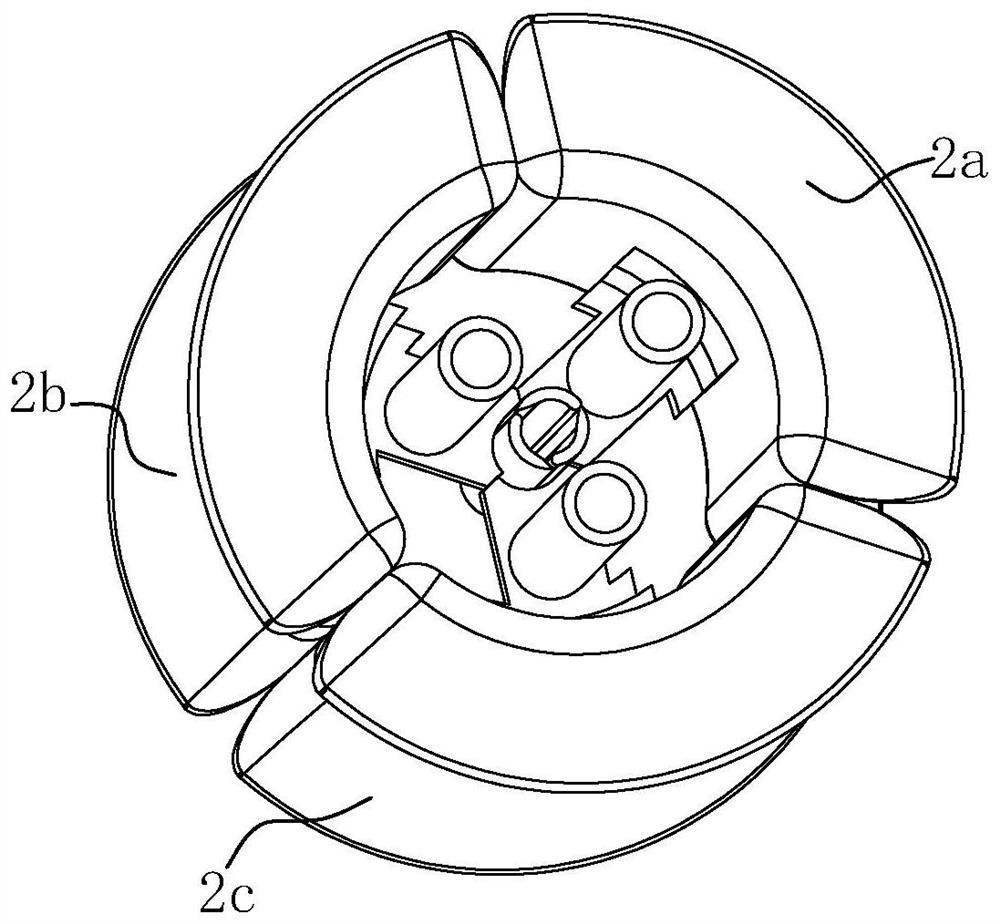 A multi-head hemostatic clip that is convenient for shifting operation