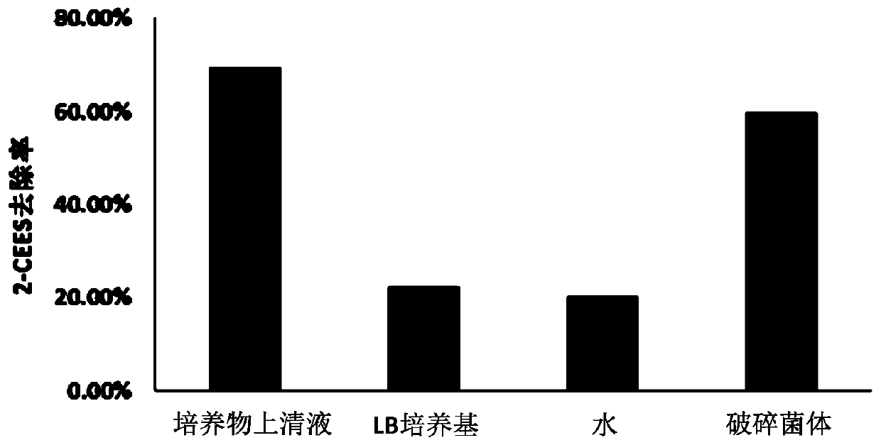 Dehalogenase gene LinB, dehalogenase, dehalogenase genetically engineered bacteria and construction method and application method of dehalogenase genetically engineered bacteria