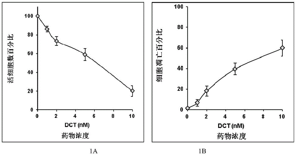 Brefeldin A combined anti-cancer compound medicine