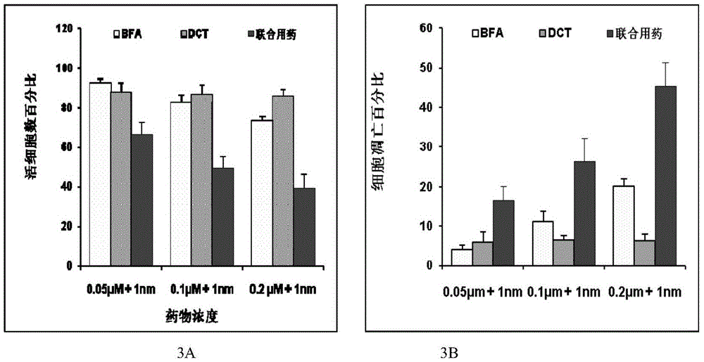 Brefeldin A combined anti-cancer compound medicine