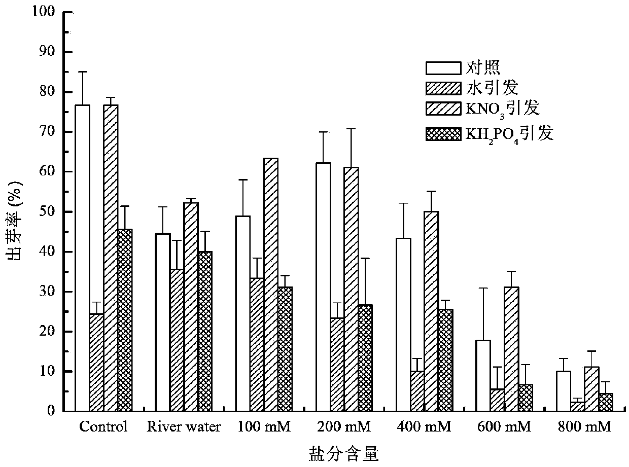 Method for restoring degraded coastal wetland in Yellow River old riverway areas