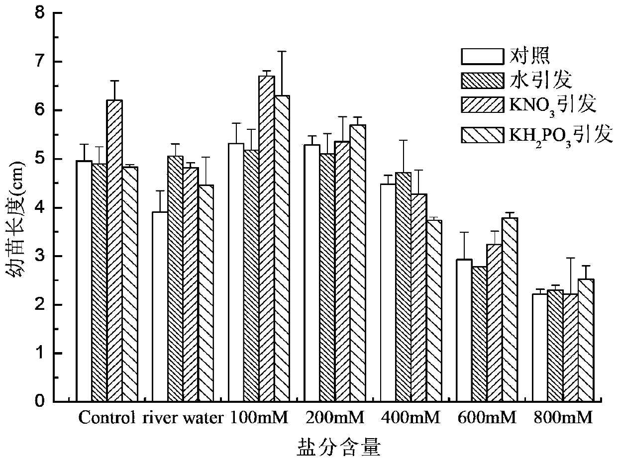 Method for restoring degraded coastal wetland in Yellow River old riverway areas