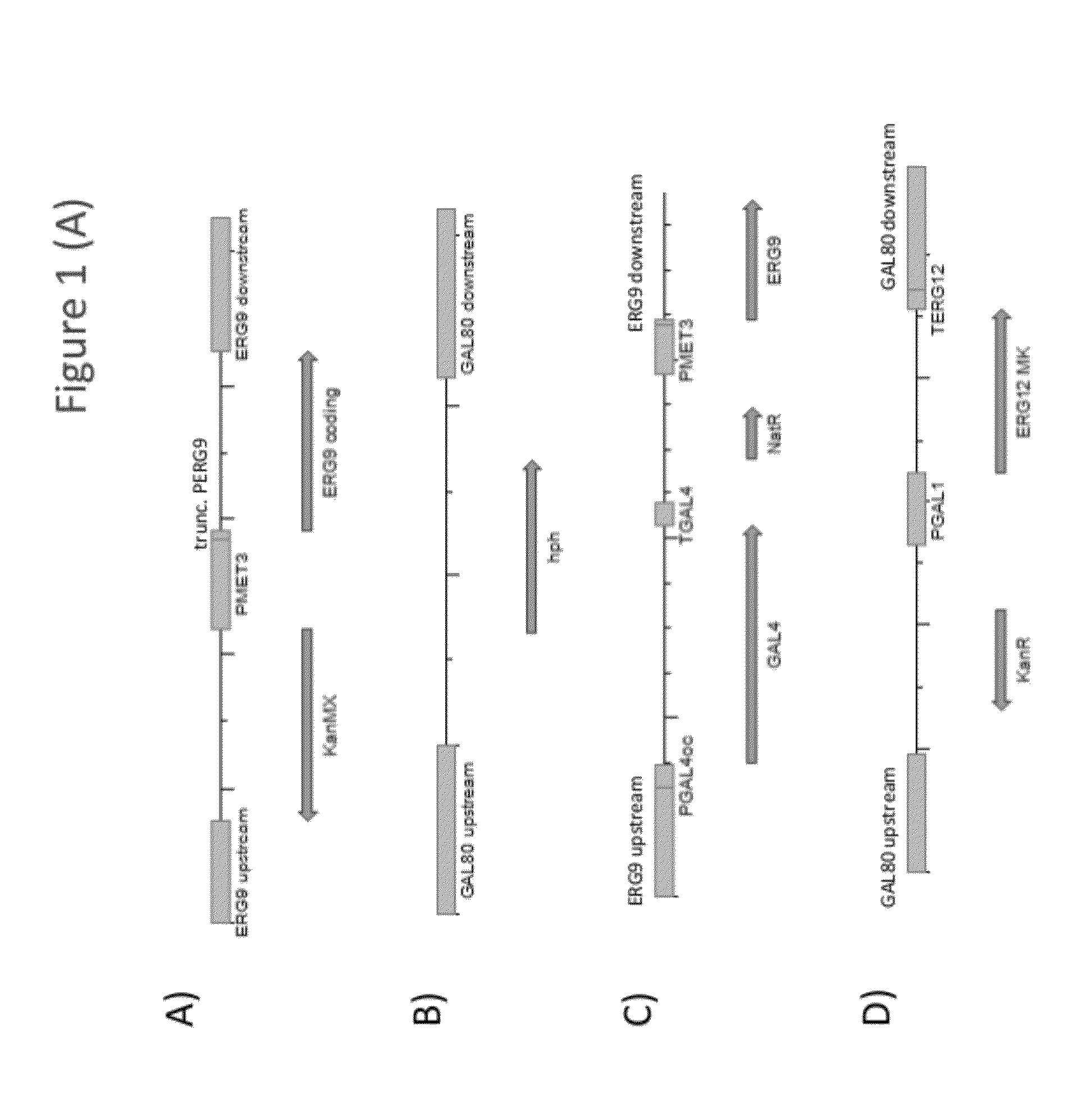 Methods of developing terpene synthase variants