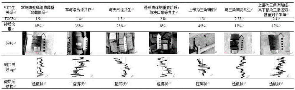 Method for describing coal-measures fine-grained sediment structure