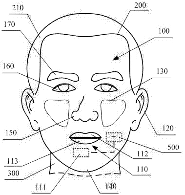 Human face shape simulation robot