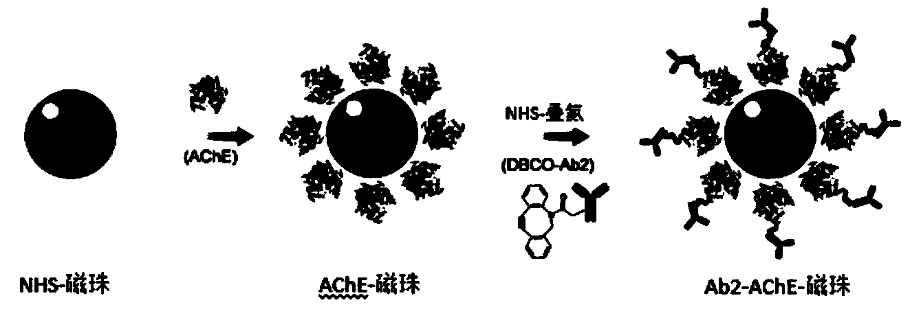 Ultrahigh-sensitivity probe for disease marker or pathogen detection, as well as preparation method and application of ultrahigh-sensitivity probe