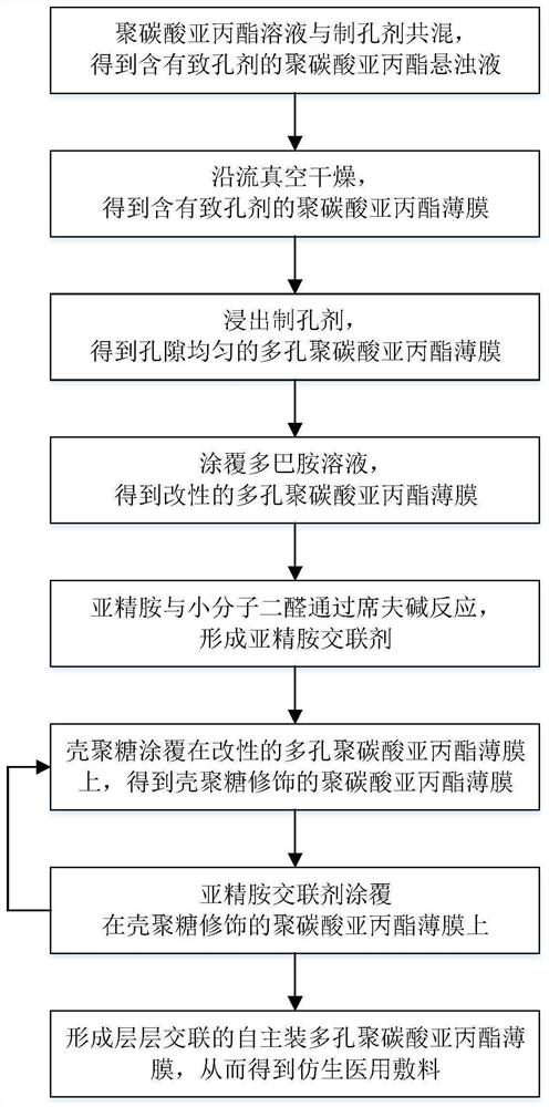 A kind of chitosan and polypropylene carbonate composite medical dressing and preparation method