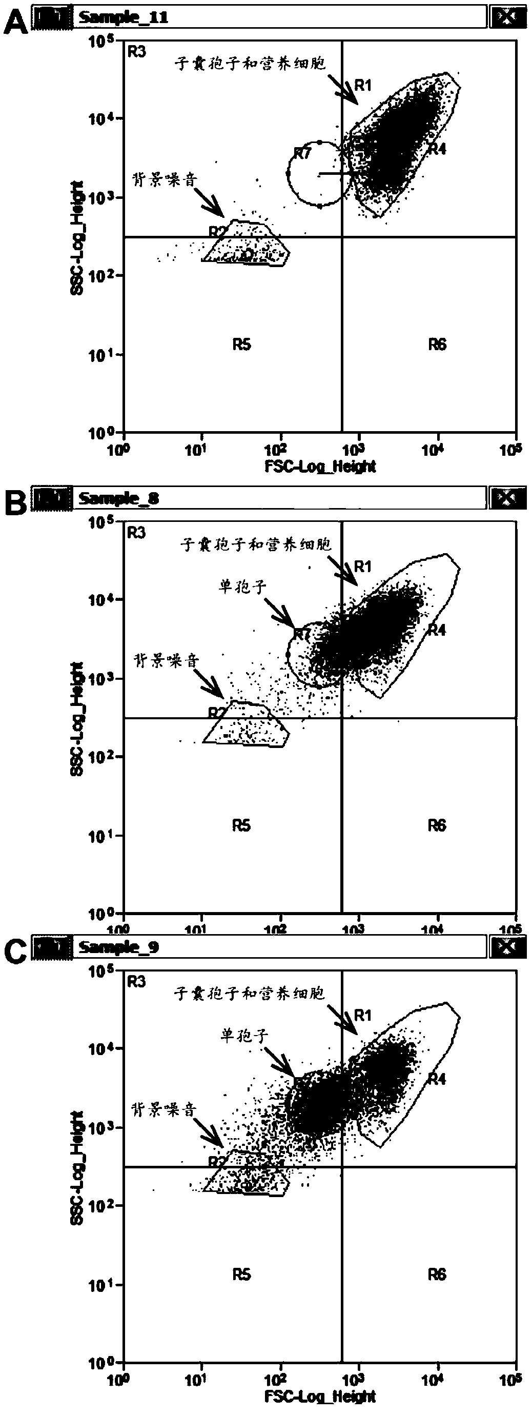 Method for separating saccharomyces cerevisiae haploids in ultrahigh-throughput manner on basis of flow cytometry