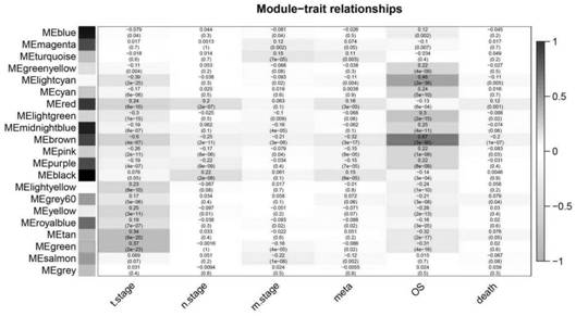 Biomarker genes for detecting colorectal cancer metastasis, application, kit and pharmaceutical composition