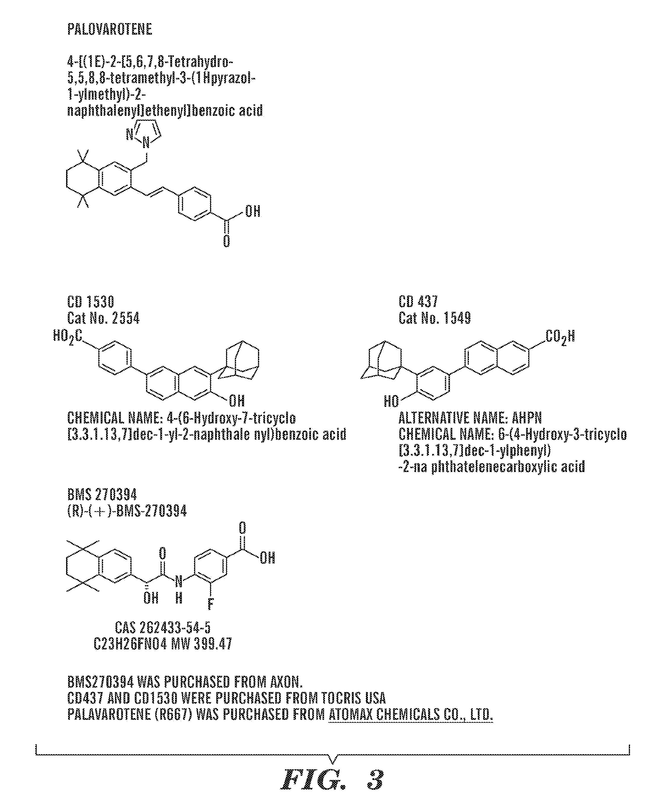 Composition and method for muscle repair and regeneration