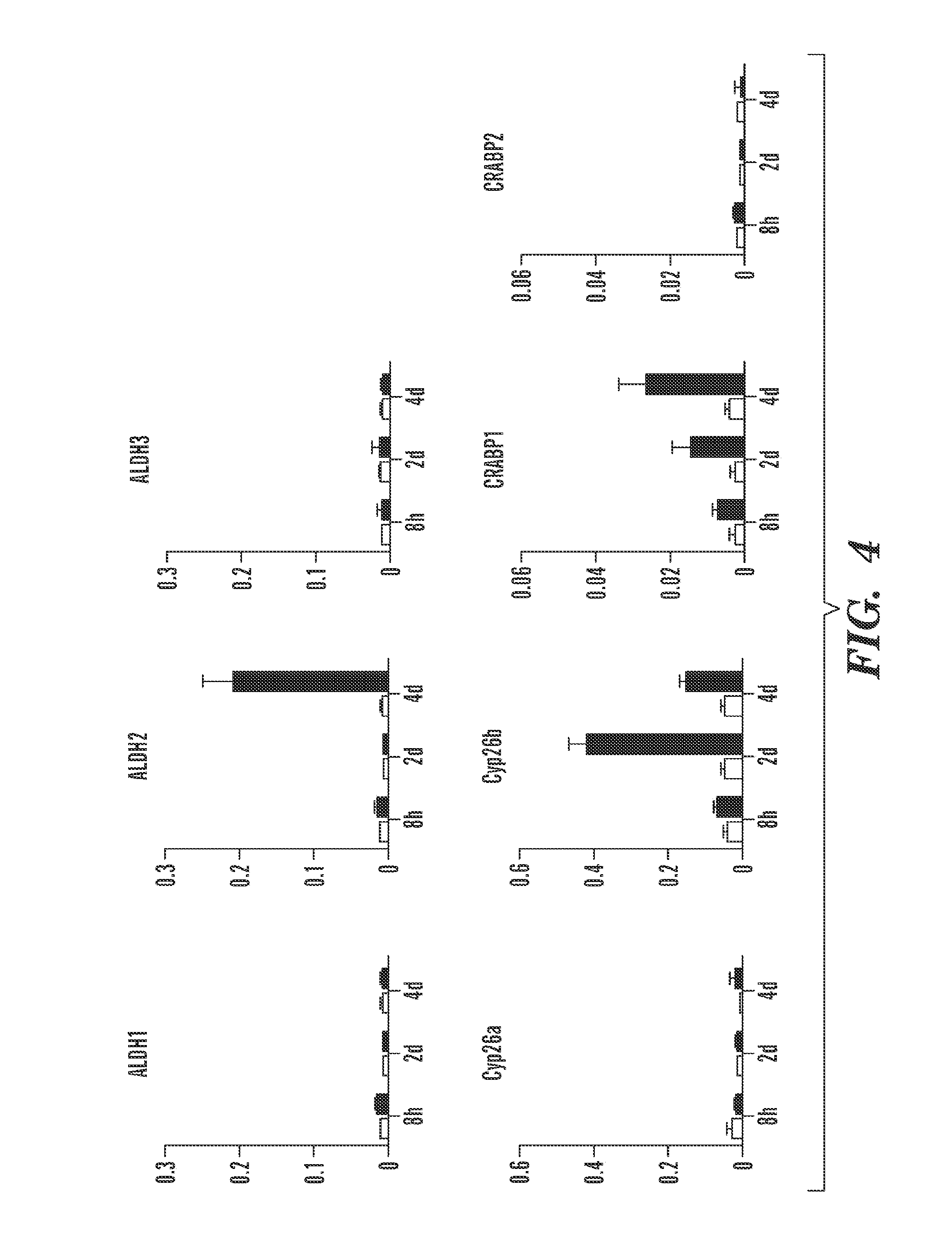 Composition and method for muscle repair and regeneration