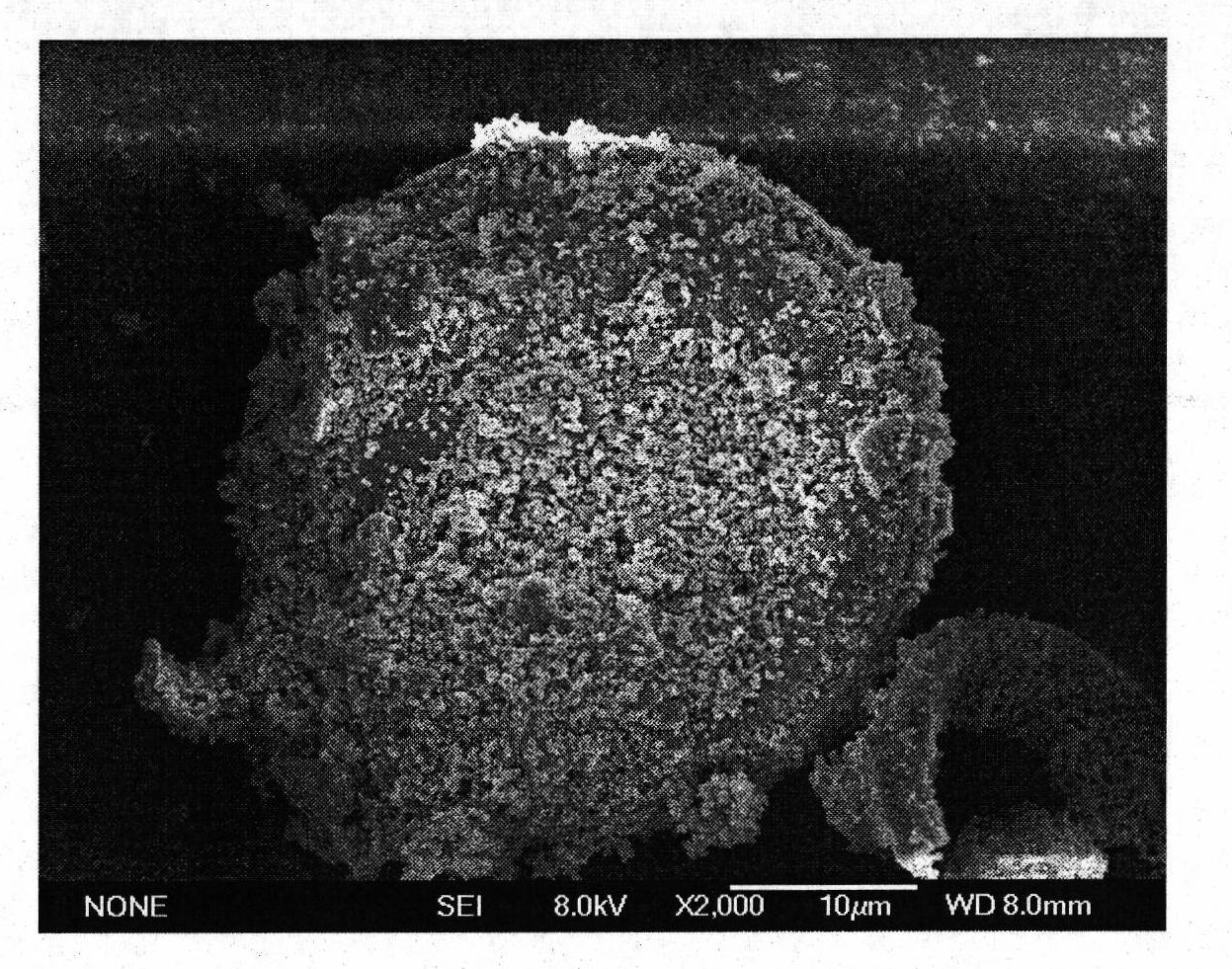 Photocatalyst, preparation method and application thereof