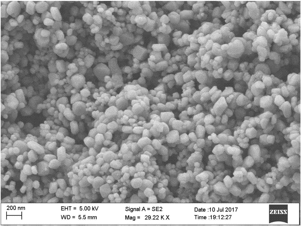 Preparation method of magnetic activated carbon and magnetic activated carbon prepared thereby