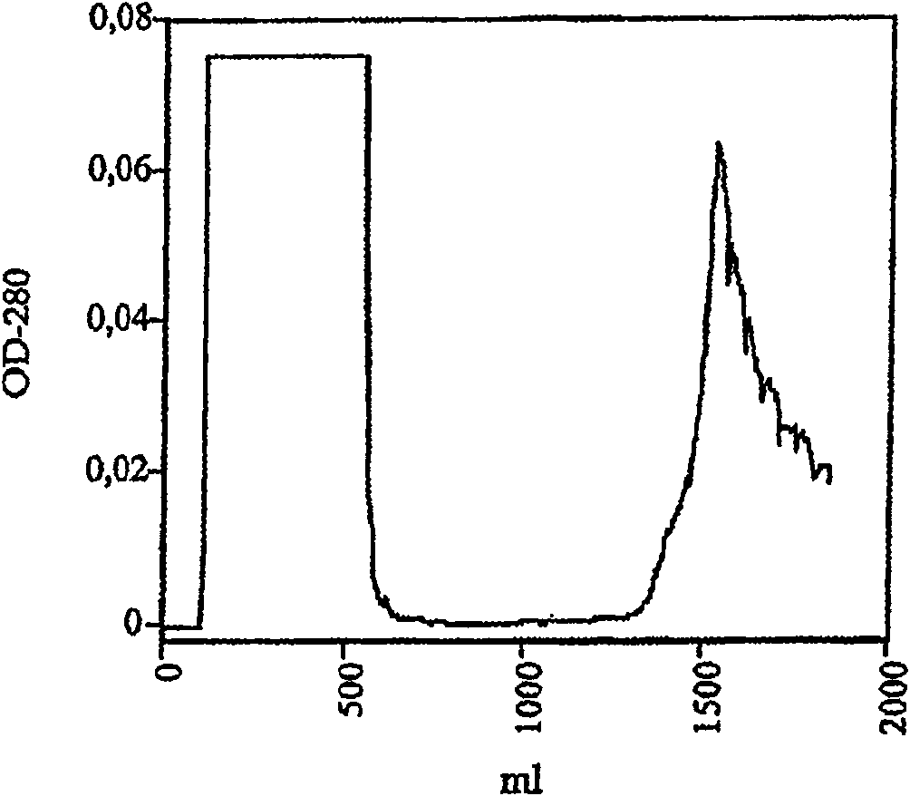 Process for preparing recombined placental growth factor