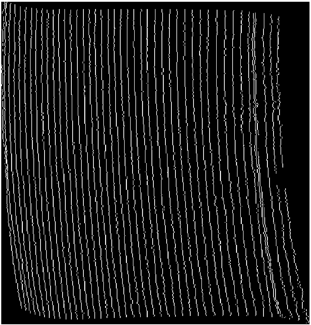 Calibration method for large-area optical profilometry based on dual-wavefront interference fringe array