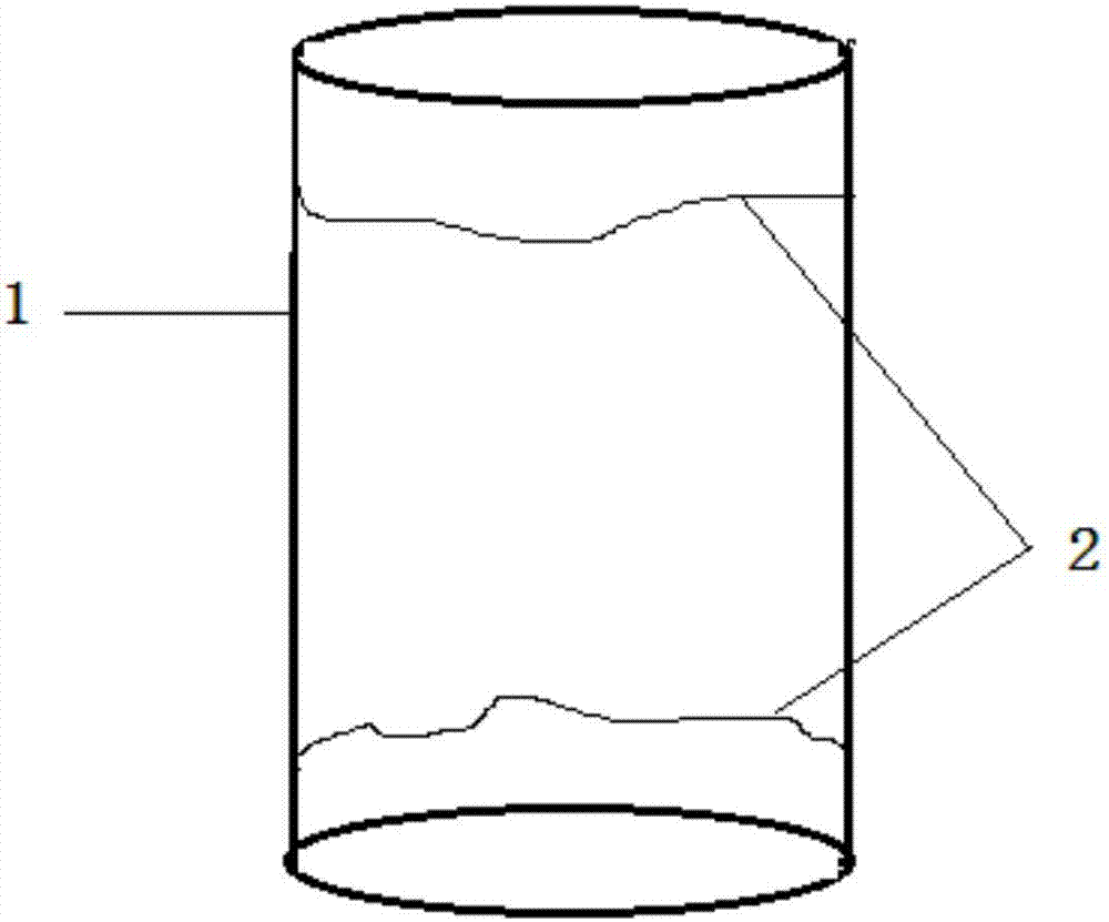 Saline-soil light curing agent and method for treating saline soil with saline-soil light curing agent