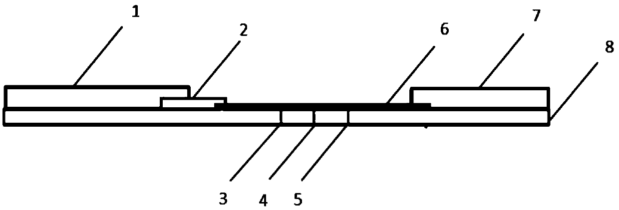 Detection test paper for quickly diagnosing Lyme disease, and preparation method thereof