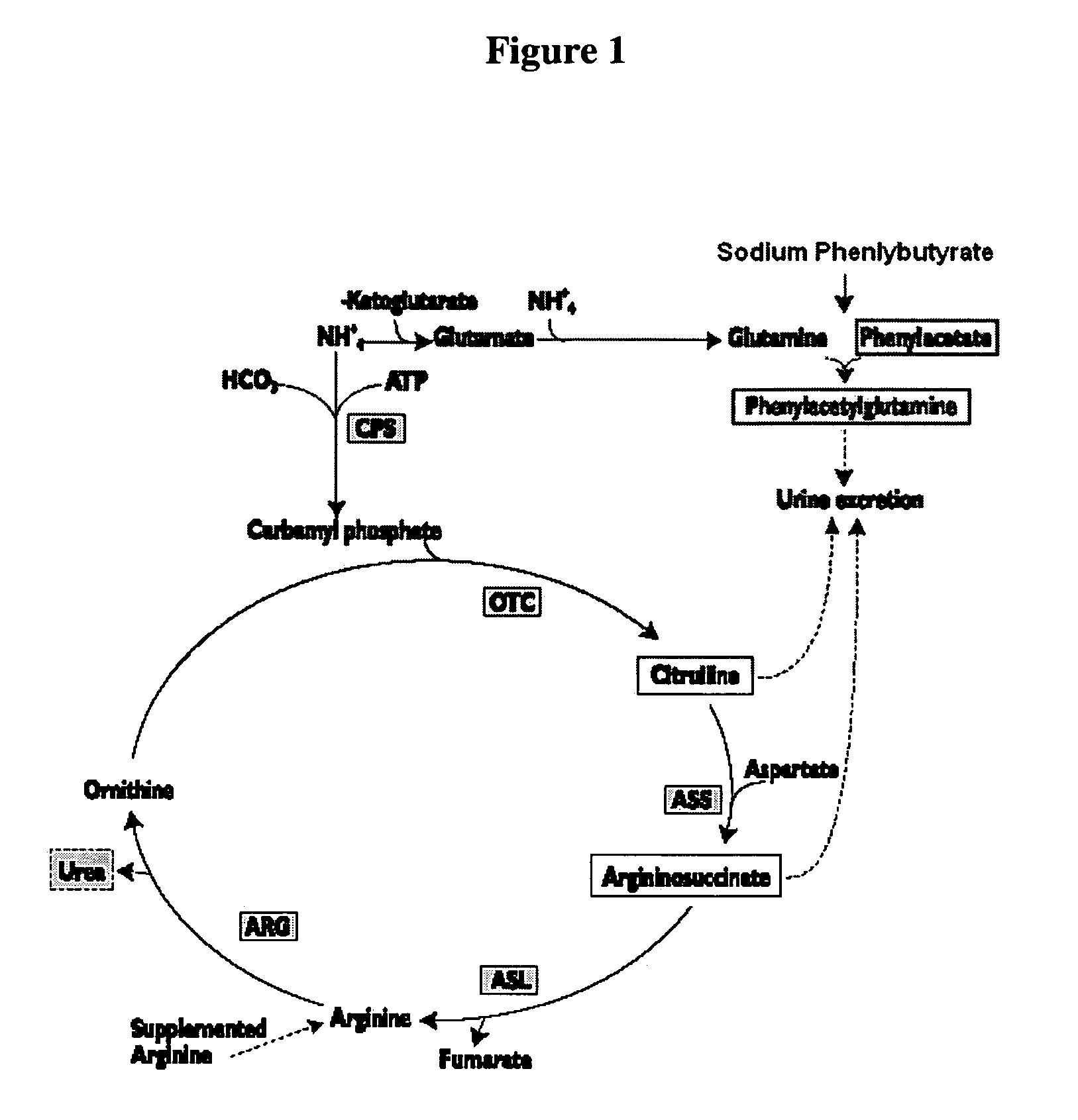 Methods of treatment using ammonia-scavenging drugs