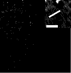 A kind of preparation method of inorganic quantum dot light-emitting diode device