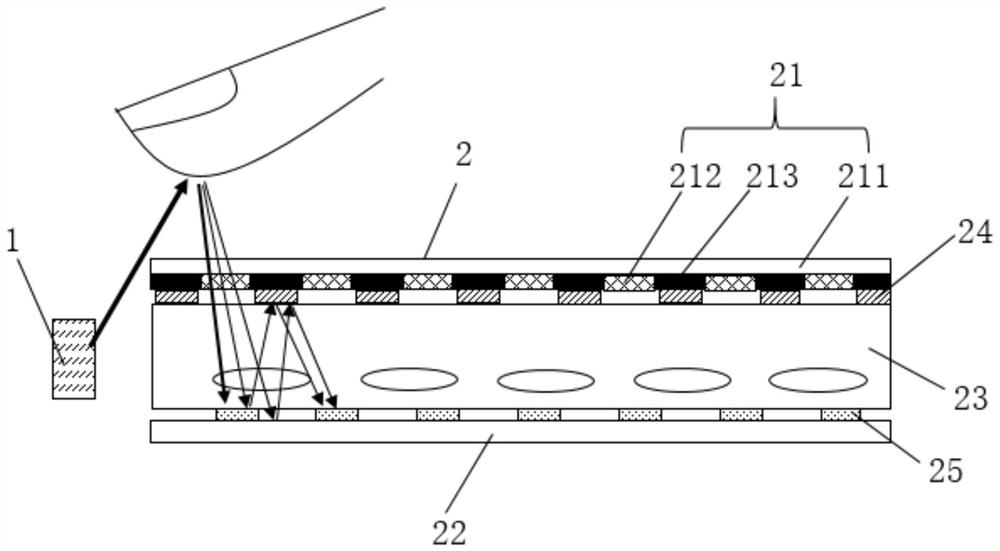 Display panel and display device