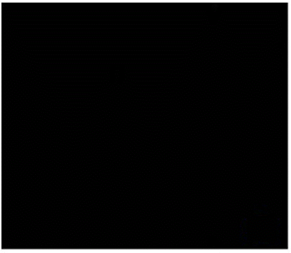 L-type PML/RAR alpha fusion gene detection kit and corresponding detection method