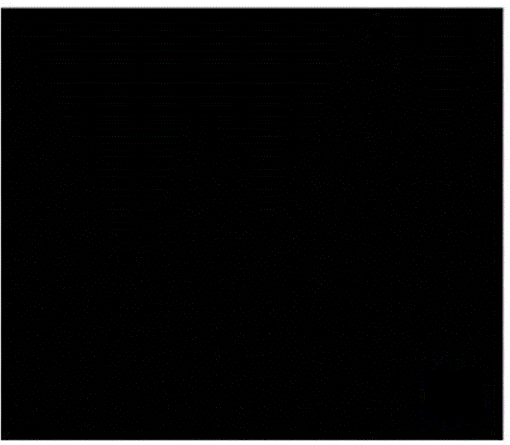 L-type PML/RAR alpha fusion gene detection kit and corresponding detection method