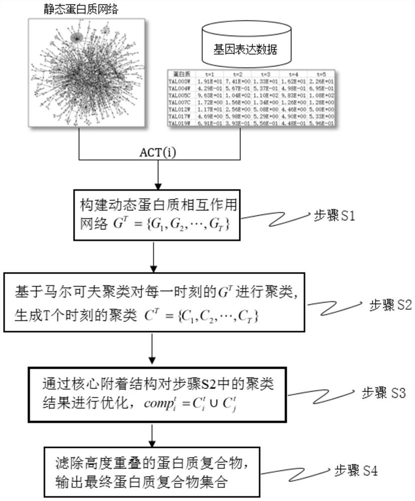 Dynamic protein complex recognition method