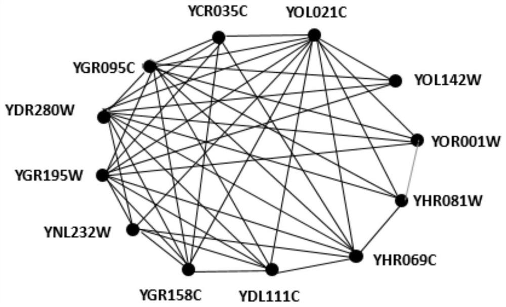 Dynamic protein complex recognition method