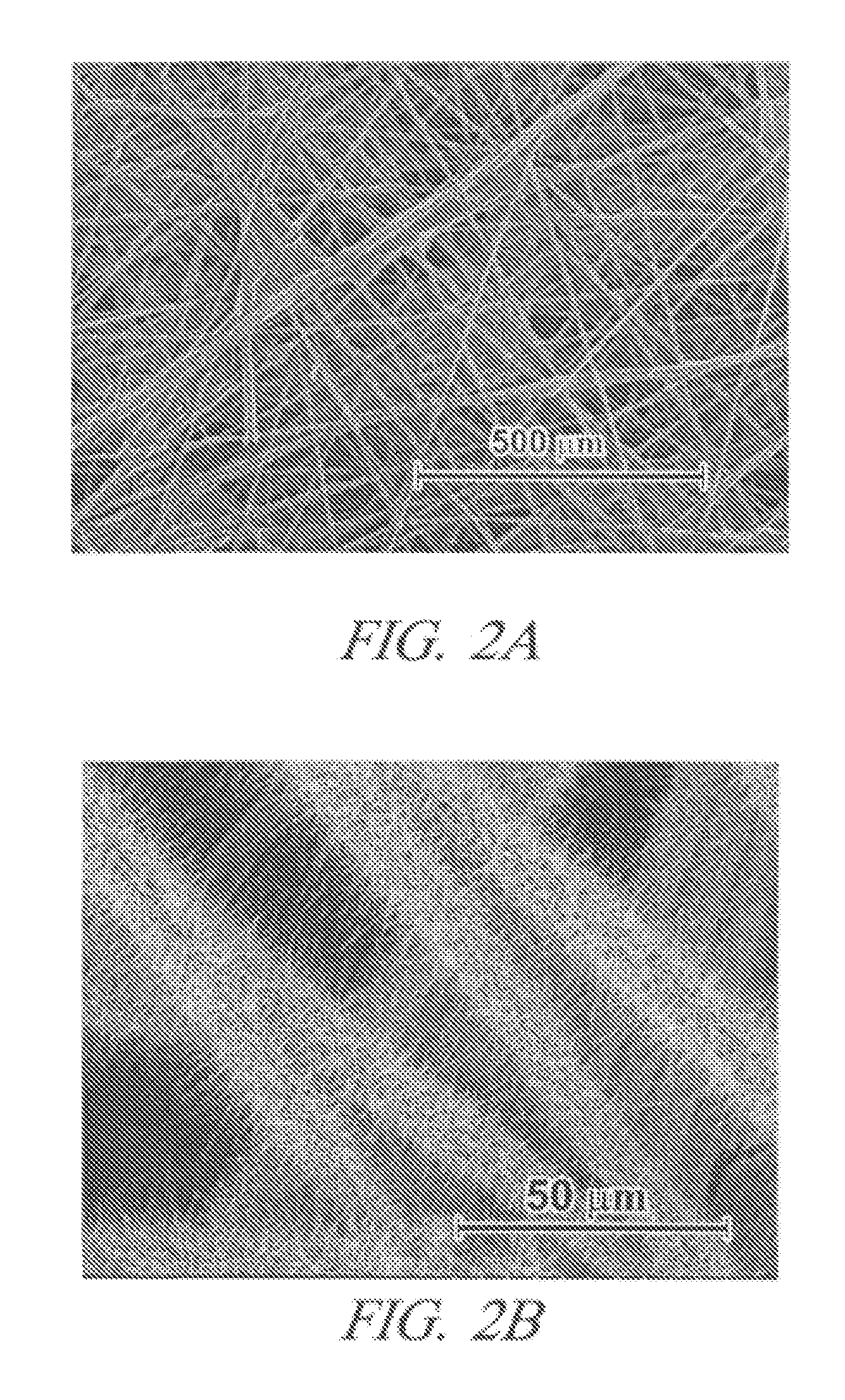 Nanowire supported catalysts for fuel cell electrodes