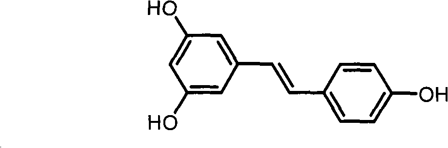 Resveratrol derivative and application thereof to medicament