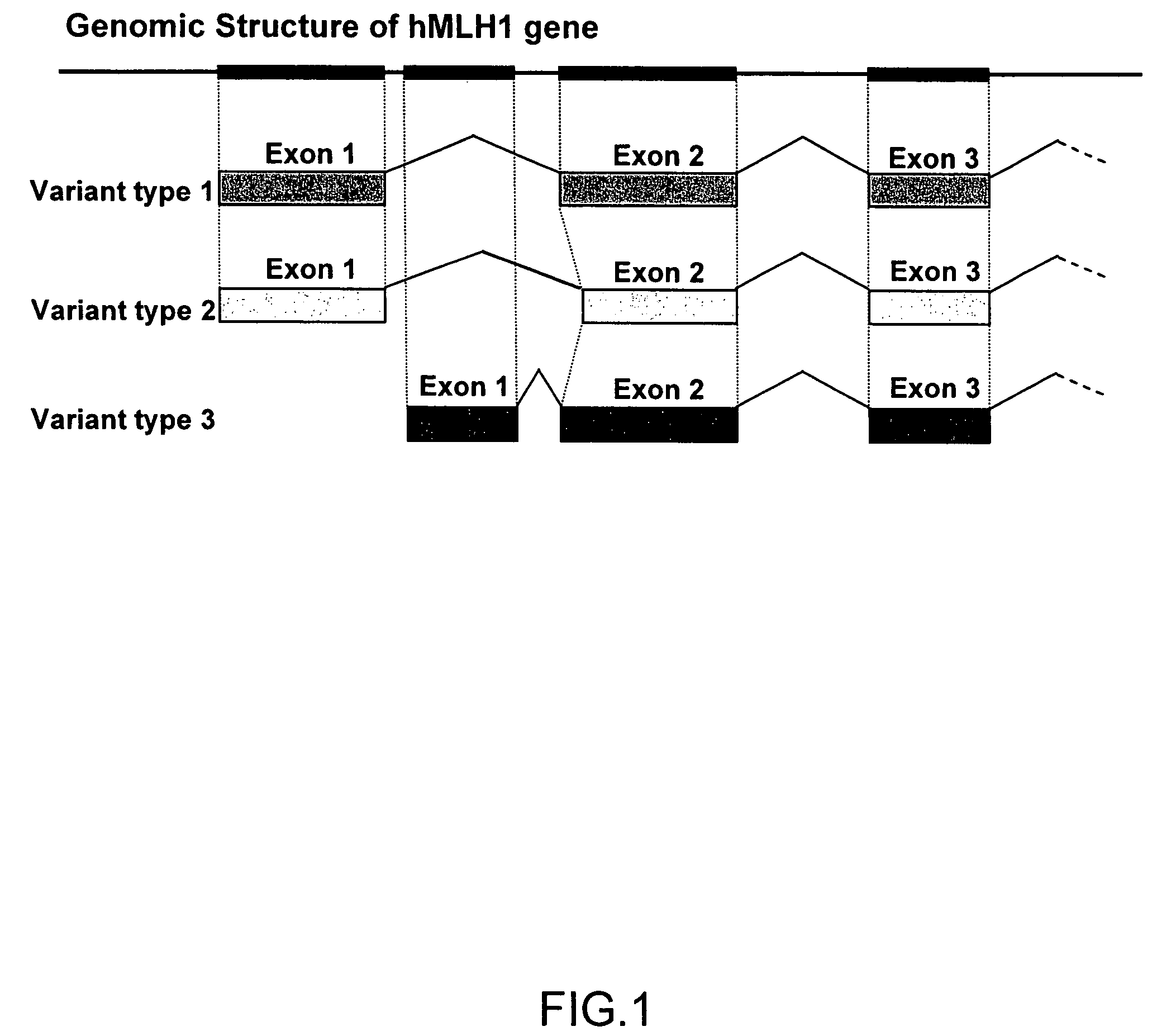 Method and kit for detection of microsatellite instability-positive cell