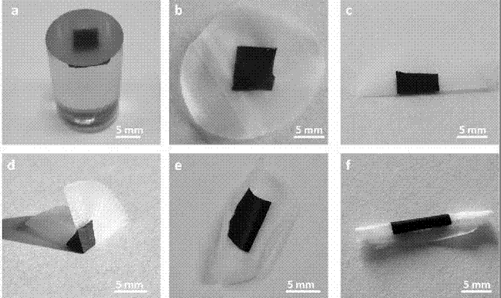 Oriented carbon nanotube/polymer composite film and its preparation method and application